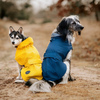 Hunter Hunde-Regenmantel Milford V2 blau Abbildung 5
