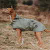 Hunter Hunde-Regenmantel Milford V2 grün Abbildung 5