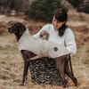 Hunter Hunde-Regenmantel Milford V2 taupe Abbildung 4
