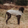 Hunter Hunde-Regenmantel Milford V2 taupe Abbildung 5