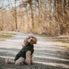 Hunter Hunde-Regenmantel Milford schwarz Abbildung 4