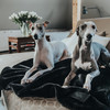 Hunter Hundedecke Konstanz schwarz Abbildung 3