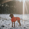 Hunter Hundemantel Nordby Mops & Co. orange Abbildung 4