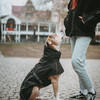 Hunter Hundemantel Nordby schwarz Abbildung 4