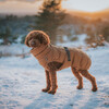 Hunter Hundemantel Paxson Dachshund karamell Abbildung 4