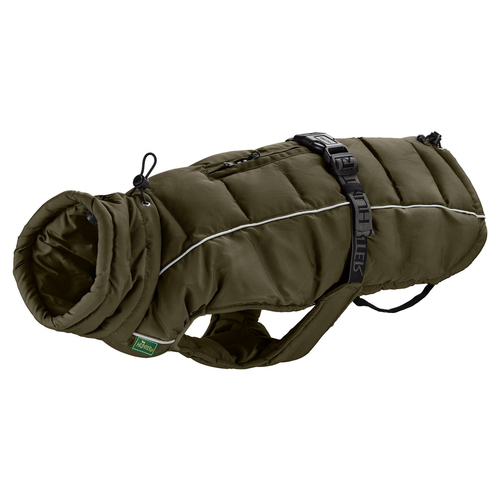Hunter Hundemantel Paxson Dachshund oliv