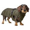 Hunter Hundemantel Paxson Dachshund oliv Abbildung 3
