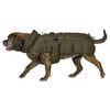 Hunter Hundemantel Paxson Mops & Co. oliv Abbildung 2
