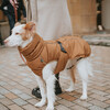 Hunter Hundemantel Paxson karamell Abbildung 5