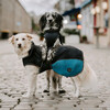 Hunter Hundemantel Uppsala Allrounder anthrazit/petrol Abbildung 5