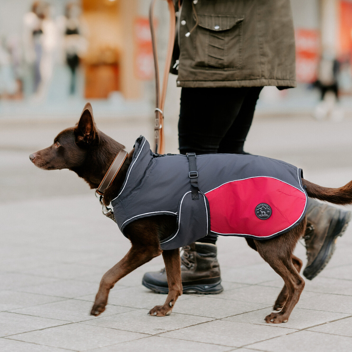 HUNTER Abrigo Perro Uppsala Alrounder, 40 Antracita/Gris XS