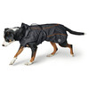 Hunter Hundemantel Uppsala Thermo anthrazit Abbildung 4
