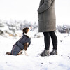 Hunter Hundemantel Uppsala Thermo anthrazit Abbildung 5