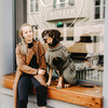 Hunter Hundemantel Uppsala Trend khaki Abbildung 4