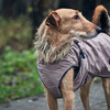 Hunter Hundemantel Uppsala taupe Abbildung 5