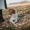 Hunter Hundepullover Genf beige Abbildung 5