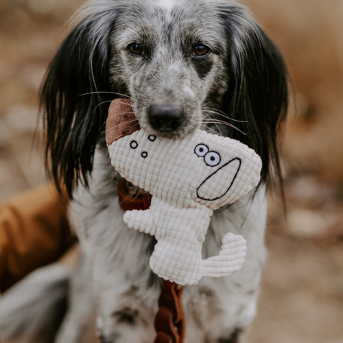 weitere Abbildung Hunter Hundespielzeug Barry Hund