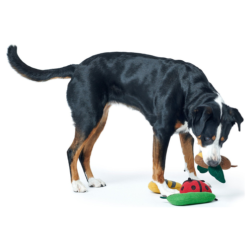 weitere Abbildung Hunter Hundespielzeug Florenz Biene