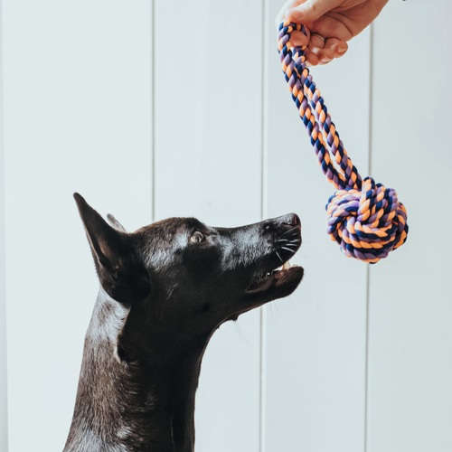 weitere Abbildung Hunter Hundespielzeug Jena Ball mit Handschlaufe