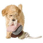 Hundespielzeug Madrid mit Tau bunt, Abbildung 6