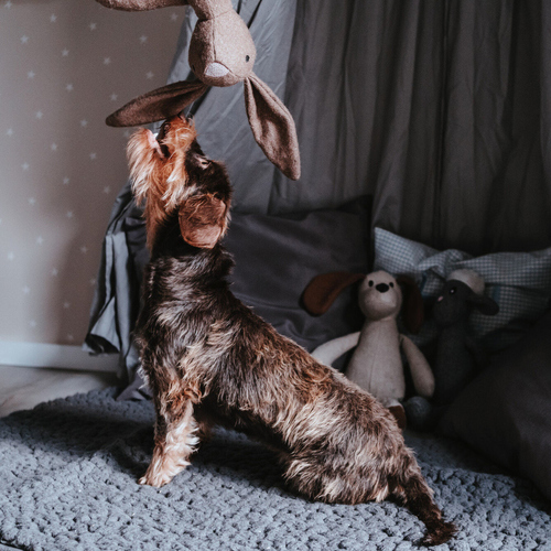 weitere Abbildung Hunter Hundespielzeug Marle Hase