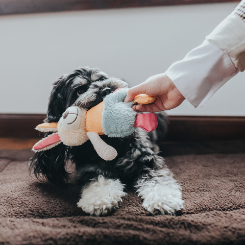 weitere Abbildung Hunter Hundespielzeug Muli Hase