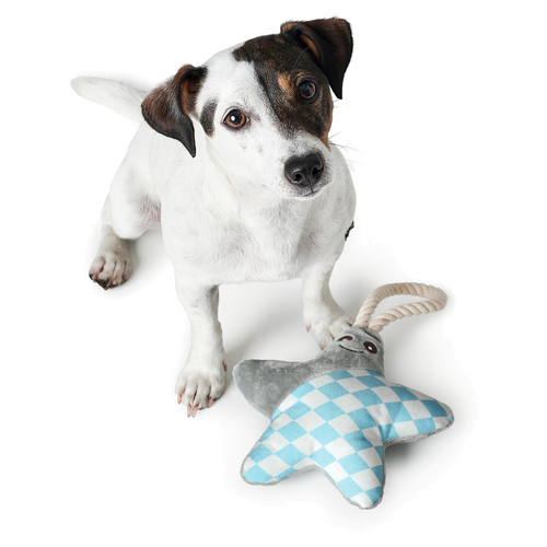 weitere Abbildung Hunter Hundespielzeug Salima Stern grau