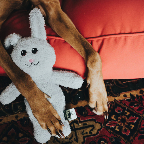 weitere Abbildung Hunter Hundespielzeug Terni Hase