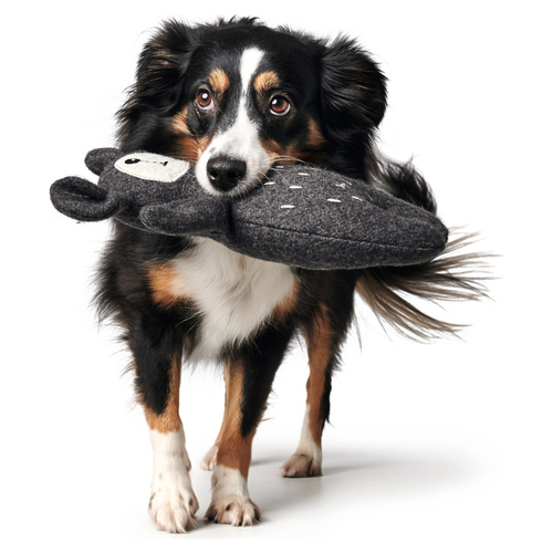 weitere Abbildung Hunter Hundespielzeug Tirana Br