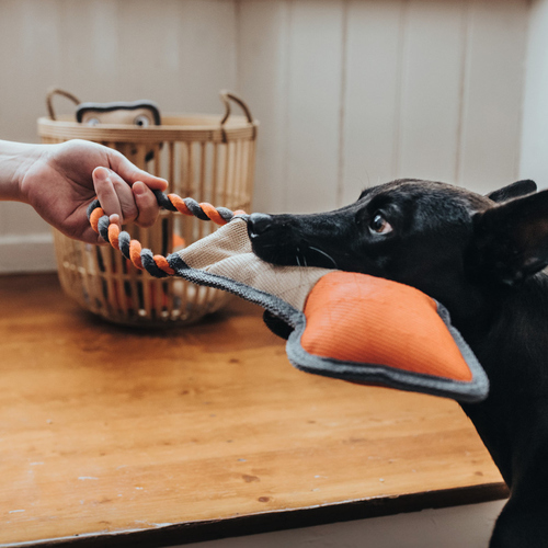 weitere Abbildung Hunter Hundespielzeug Tough Pombas Pfeil