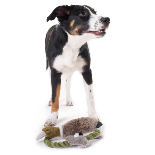 weitere Abbildung Hunter Hundespielzeug Wildlife Training Ente