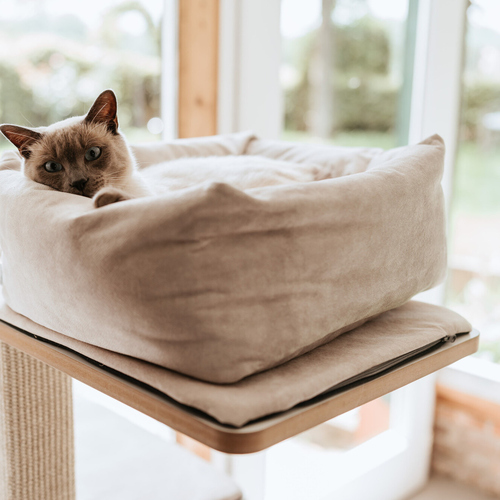 weitere Abbildung Hunter Katzenbett Dreamie beige