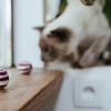 Hunter Katzenspielzeug Rolli bunt Abbildung 2