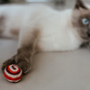 Hunter Katzenspielzeug Rolli bunt Abbildung 3