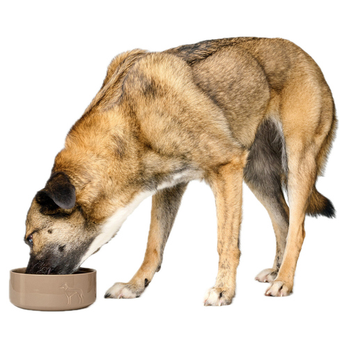 weitere Abbildung Hunter Keramik-Napf Osby Glazed beige fr Hunde