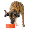 Hunter Keramik-Napf Osby Glazed orange für Hunde Abbildung 2