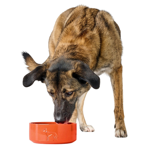 weitere Abbildung Hunter Keramik-Napf Osby Glazed orange fr Hunde