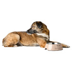 Melamin-Napf Luton beige, Abbildung 3