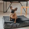 Hunter Orthopädisches Hundekissen Merida anthrazit Abbildung 3