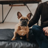 Hunter Orthopädisches Hundekissen Merida anthrazit Abbildung 4