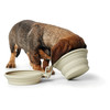 Hunter Silikon Reisenapf List beige Abbildung 5
