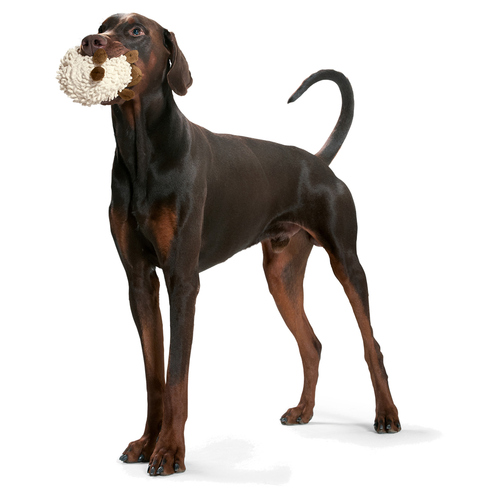 weitere Abbildung Hunter Smart Hundespielzeug Snugly Schaf mit Quietscher