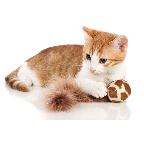 weitere Abbildung Hunter Smart Katzenspielzeug Ball mit Federschwanz