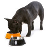 Hunter Smart Melamin-Napf orange Abbildung 3