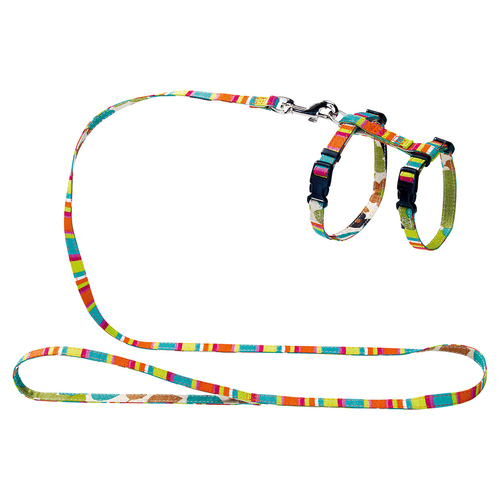 Hunter Smart Welpengarnitur Stripes