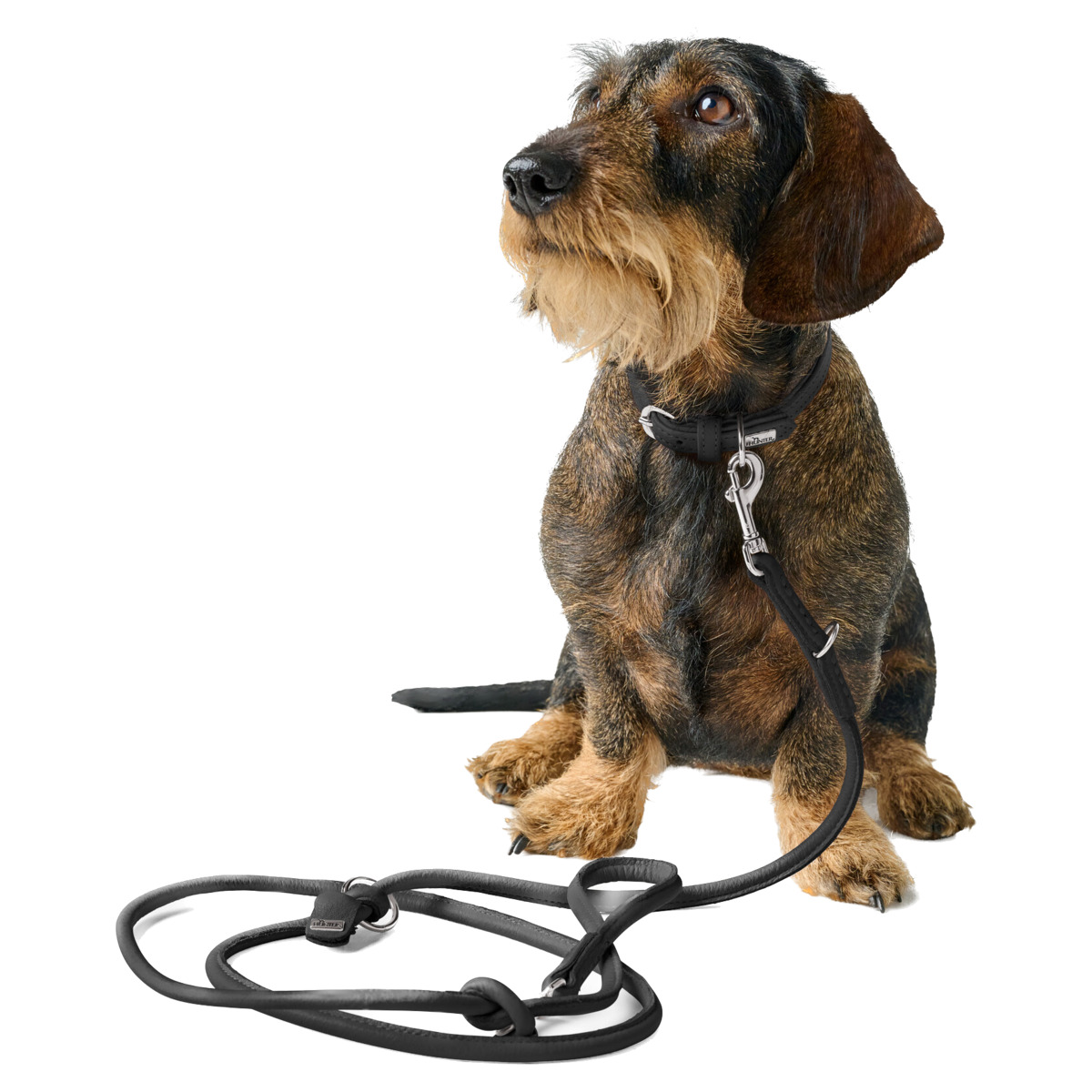 Hunder Mini Hunter Soho Mini Lederleine Schwarz | Verstellbar für kleine Hunde