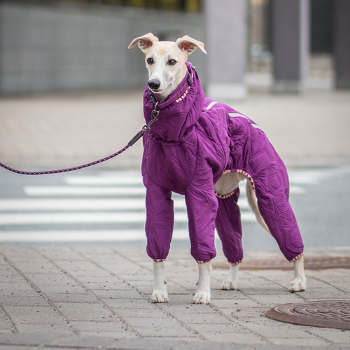 weitere Abbildung Hurtta Casual Steppoverall Quilted violett