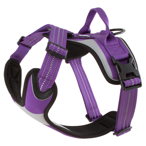 Hurtta Dazzle Geschirr violett