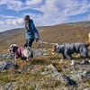 Hurtta Extreme Overall (Wärme-Overall) eggplant Abbildung 4