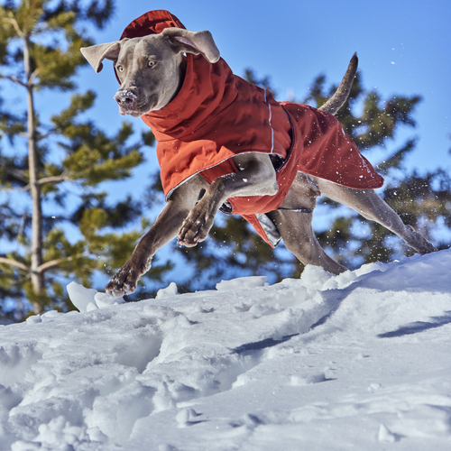 weitere Abbildung Hurtta Extreme warmer III ECO (Wrmejacke) cinnamon (zimt)